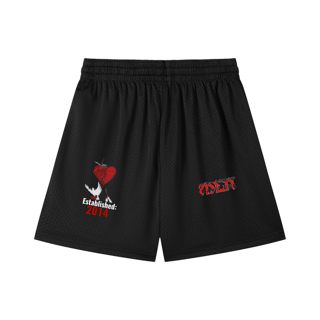 Mesh Drawstring Shorts