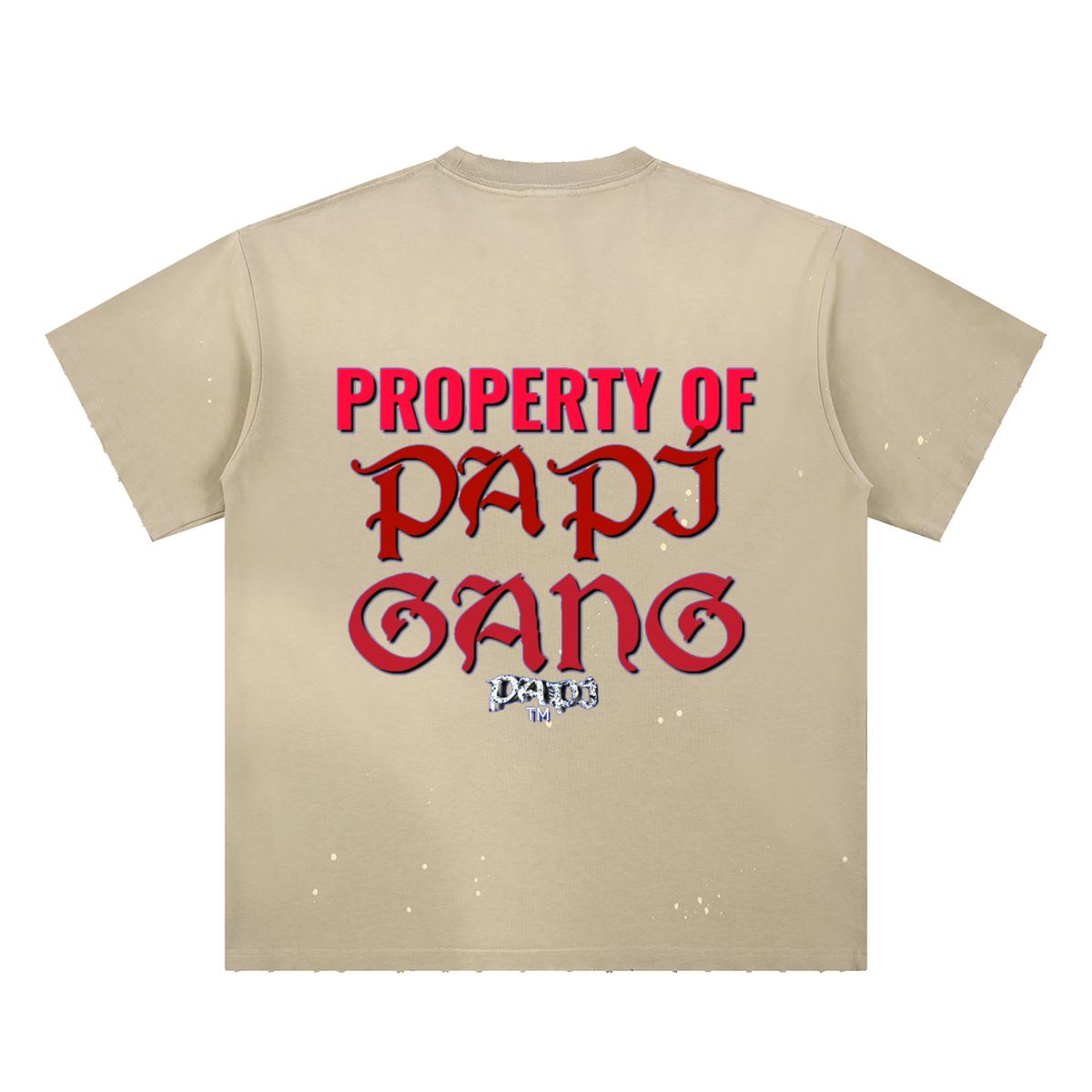 Hand-Frayed Sunfade Paint Splatter T-Shirt