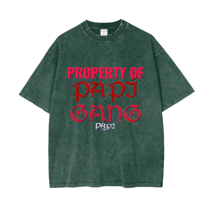 Streetwear Unisex Oversized Snow Wash T-Shirt