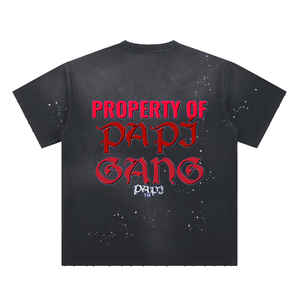 Hand-Frayed Sunfade Paint Splatter T-Shirt